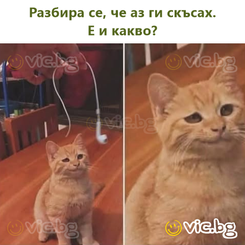 Разбира се, че аз ги скъсах. Е и какво?