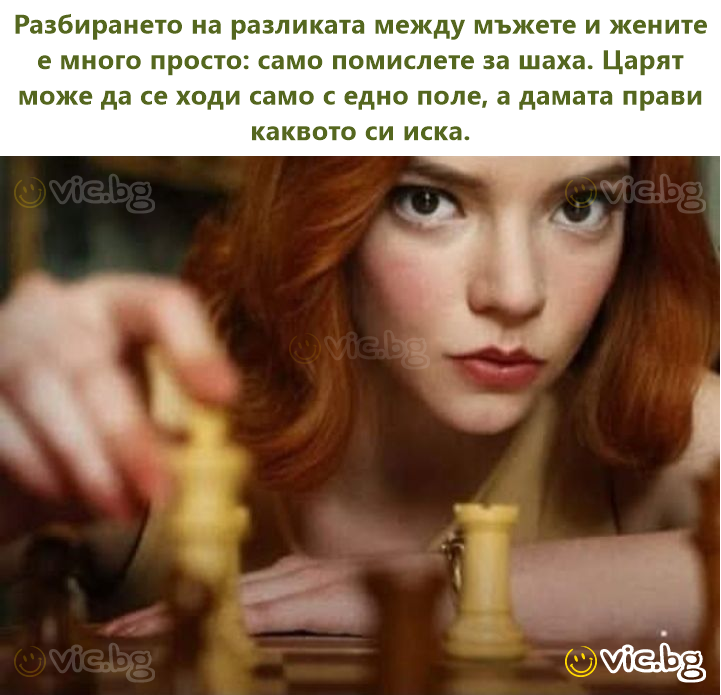 Разбирането на разликата между мъжете и жените е много просто: само помислете за шаха. Царят може да се ходи само с едно поле, а дамата прави каквото си иска.