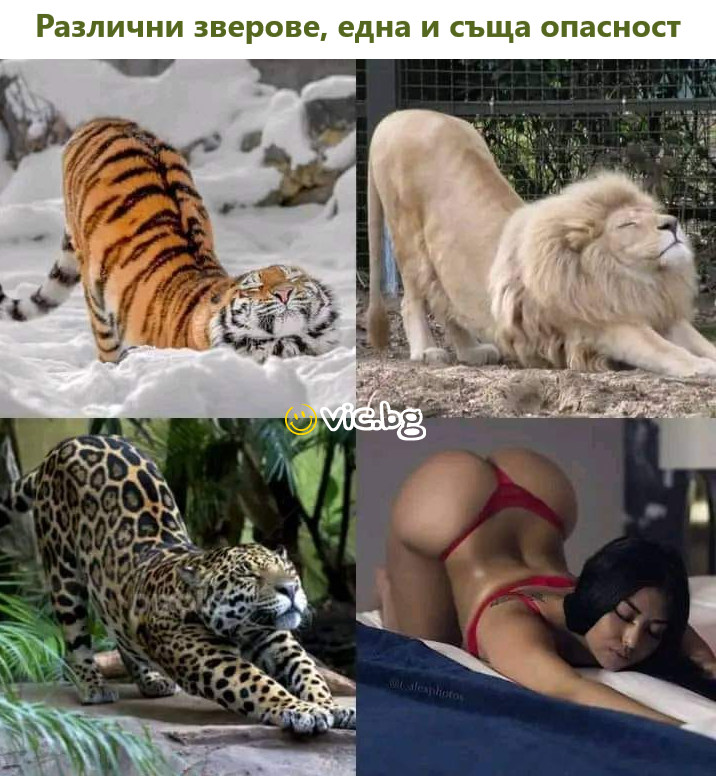 Различни зверове, една и сьща опасност