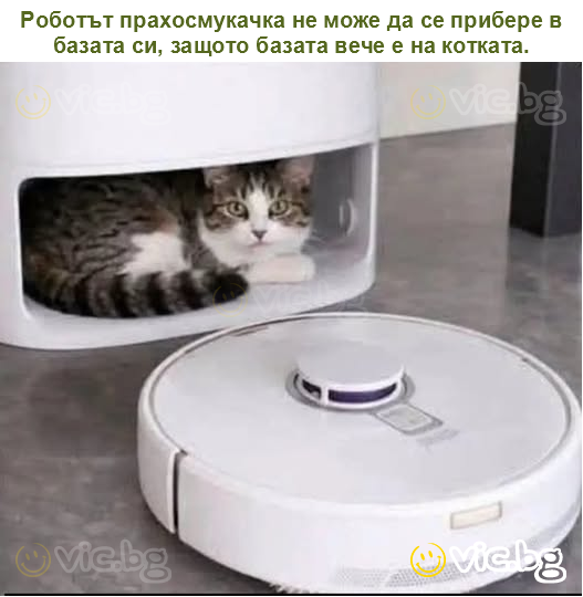 Роботът прахосмукачка не може да се прибере в базата си, защото базата вече е на котката.