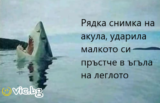 Рядка снимка на акула, ударила малкото си пръстче в ъгъла на леглото
