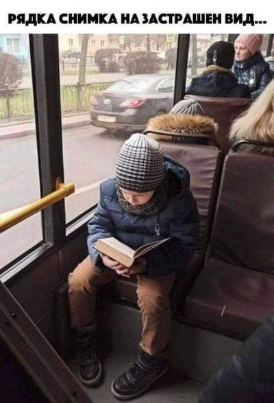 Рядка снимка на застрашен вид...