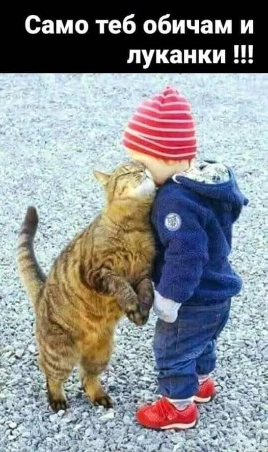 Само теб обичам и луканки