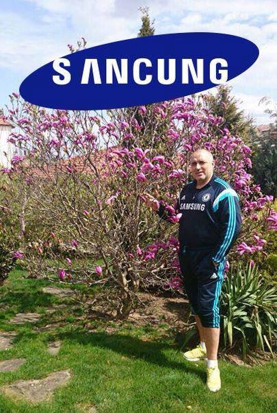 Санцунг, Когато цъфти, наистина цъфти