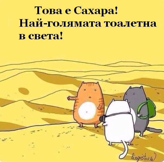 Сахара - най голямата тоалетна в света