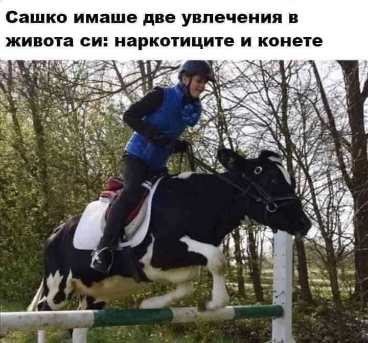 Сашко имаше две увлечения в живота си: наркотиците и конете