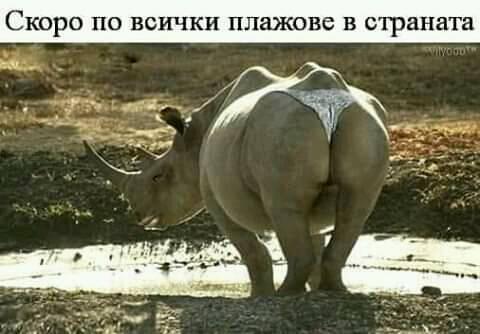 Скоро по всички плажове