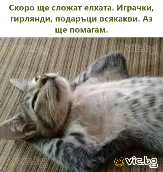 Скоро ще сложат елхата. Играчки, гирлянди, подаръци всякакви. Аз ще помагам.