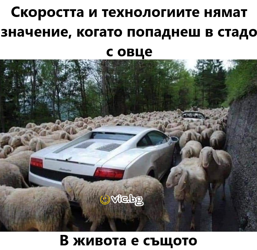 Скоростта и технологиите нямат значение, когато попаднеш в стадо с овце. В живота е същото