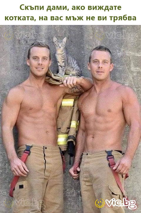 Скъпи дами, ако виждате котката, на вас мъж не ви трябва