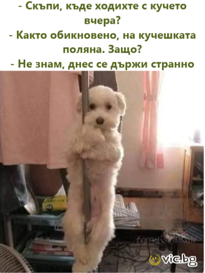 - Скъпи, къде ходихте с кучето вчера? - Както обикновено, на кучешката поляна. Защо? - Не знам, днес се държи странно