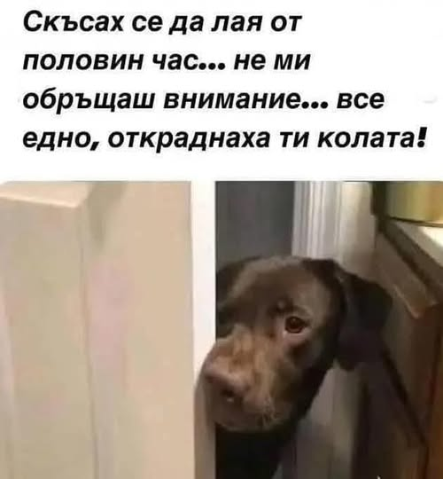 Скъсах се да лая от половин час... не ми обръщаш внимание... все едно, откраднаха ти колата!