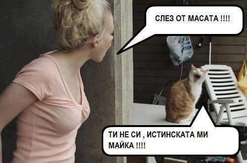 Слез от масата ВЕДНАГА!!!! Ти не си истинската ми майка!