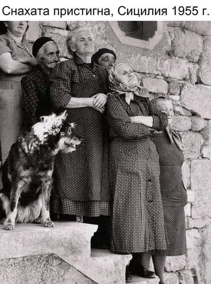 Снахата пристигна, Сицилия 1955 г.