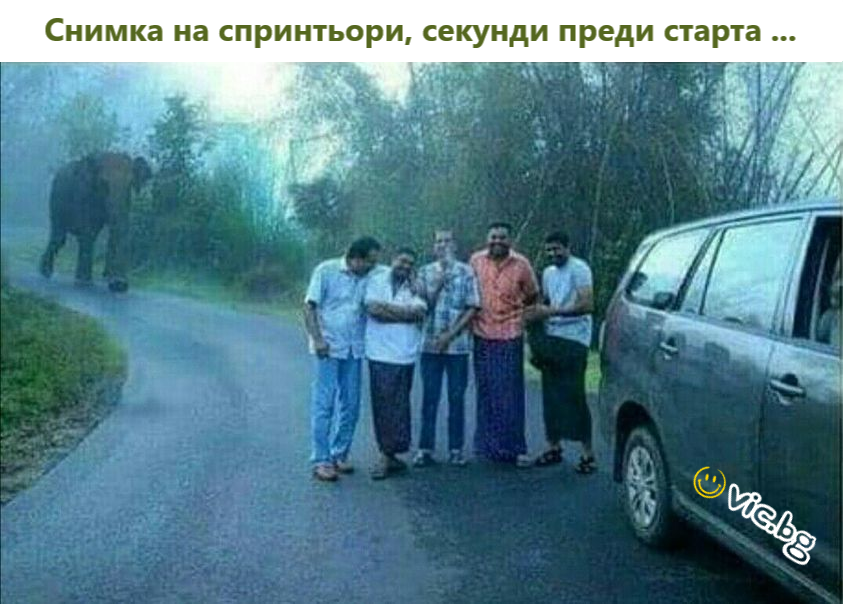 Снимка на спринтьори, секунди преди старта ...