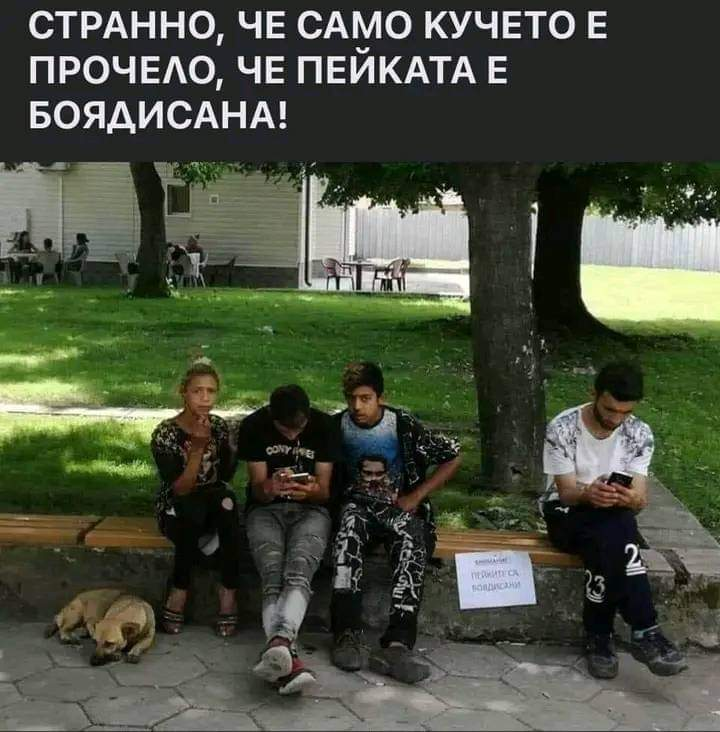 Странно, че само кучето е прочело, че пейката е боядисана!