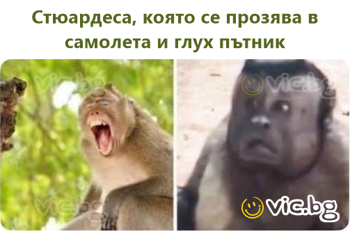 Стюардеса, която се прозява в самолета и глух пътник