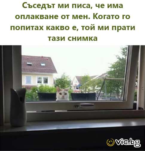 Съседът ми писа, че има оплакване от мен.  Когато го попитах какво е, той ми прати тази снимка