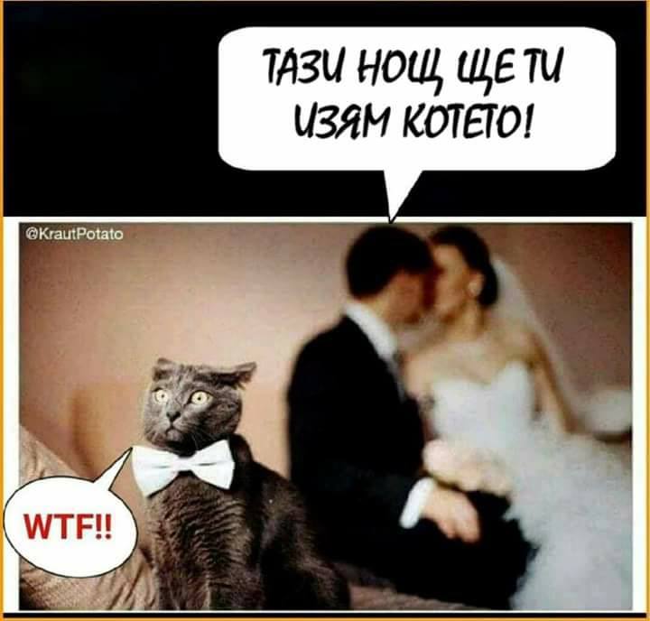 Тази вечер ще ти изям котето! WTF?!