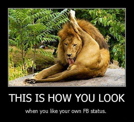 Така изглеждате като си харесвате постовете във Фейсбук