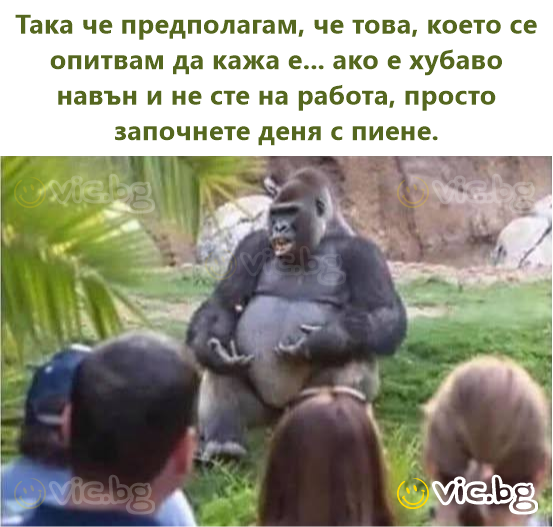 Така че предполагам, че това, което се опитвам да кажа е... ако е хубаво навън и не сте на работа, просто започнете деня с пиене.