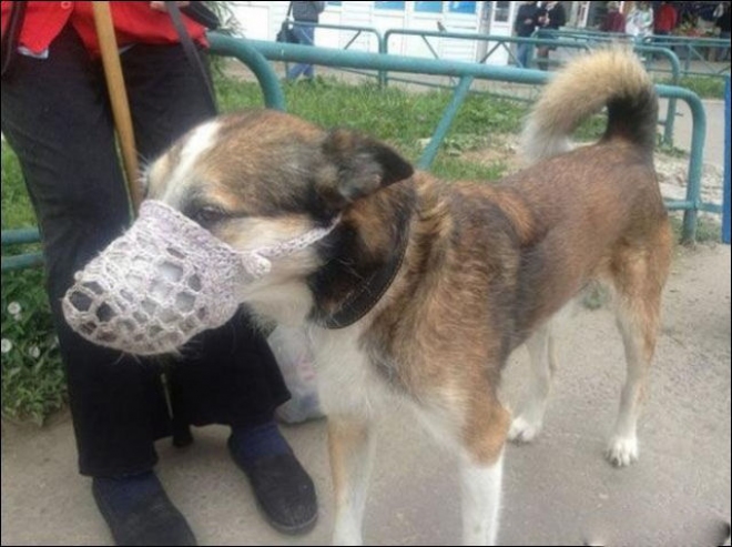 Тарикати__6 _6