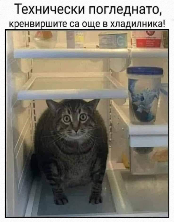 Технически погледнато, кренвиршите са още в хладилника!