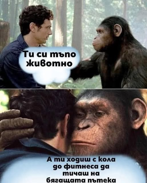 Ти си тъпо животно . А ти ходиш с кола до фитнеса да тичаш на бягащата пътека