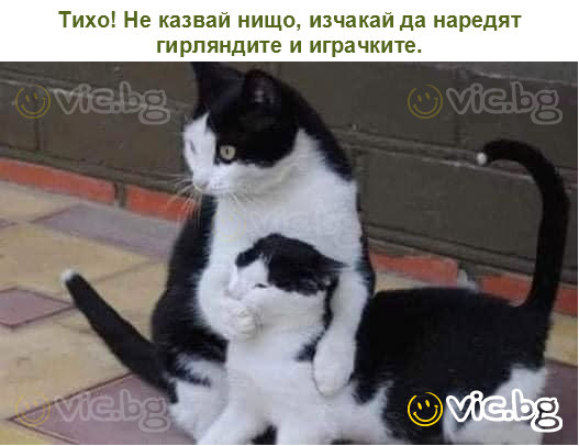 Тихо! Не казвай нищо, изчакай да наредят гирляндите и играчките.