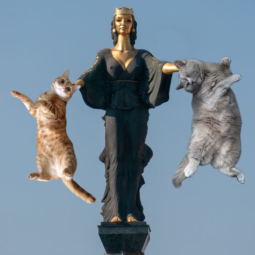 Тия котки някои да си ги познава?