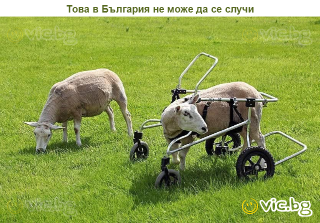 Това в България не може да се случи