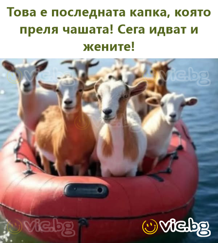 Това е последната капка, която преля чашата! Сега идват и жените!