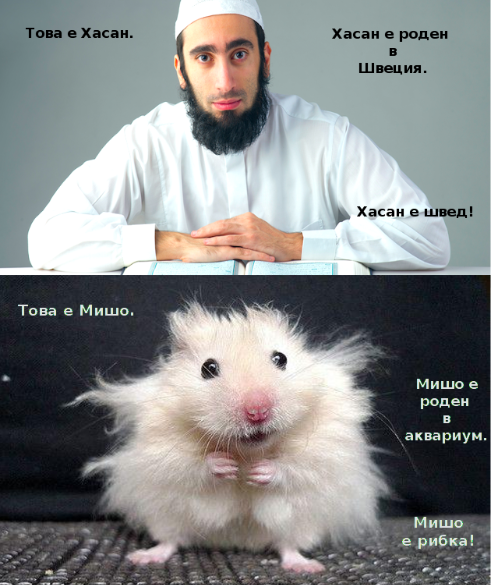 Това е Хасан