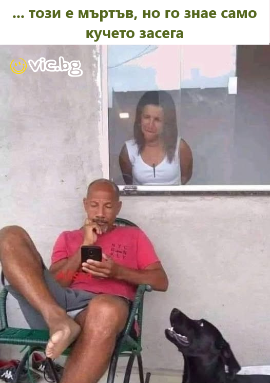 .-.. този е мъртъв, но го знае само кучето засега
