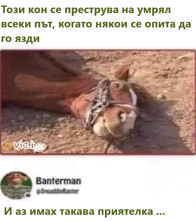 Този кон се преструва на умрял всеки път, когато някои се опита да го язди И аз имах такава приятелка ...