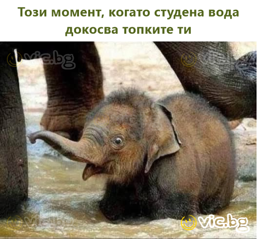 Този момент, когато студена вода докосва топките ти