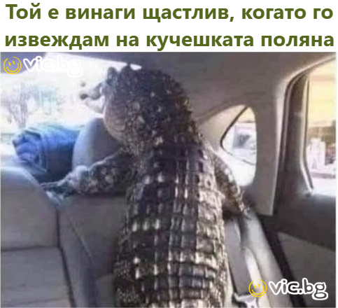 Той е винаги щастлив, когато го извеждам на кучешката поляна