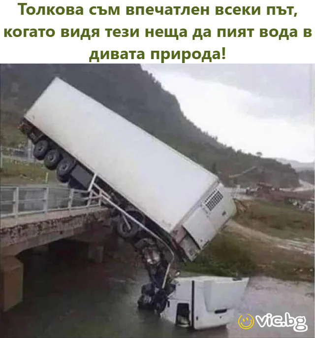 Толкова съм впечатлен всеки път, когато видя тези неща да пият вода в дивата природа!