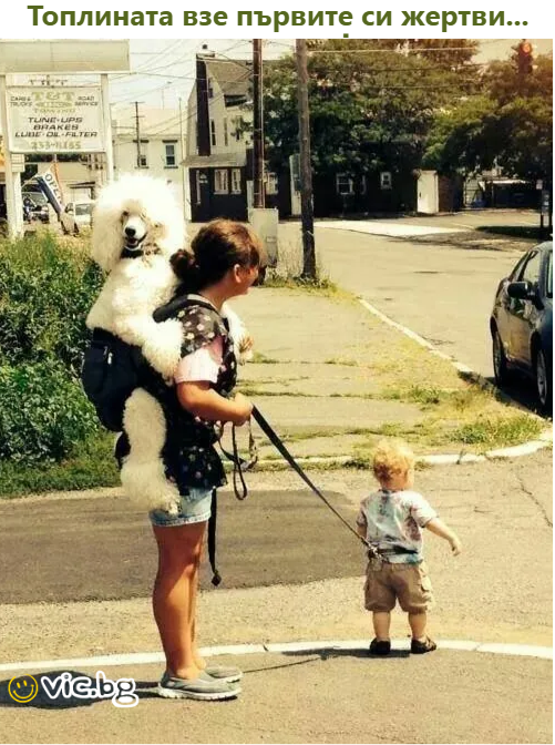 Топлината взе първите си жертви...