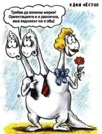 Трябва да вземем мерки, ориентацията ни е различна, но задника-общ