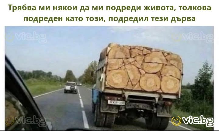 Трябва ми някои да ми подреди живота, толкова подреден като този, подредил тези дърва