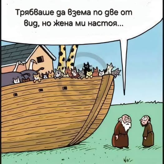 Трябваше да взема по gвe от вид, но жена ми настоя...