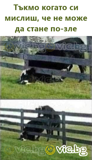 Тъкмо когато си мислиш, че не може да стане по-зле