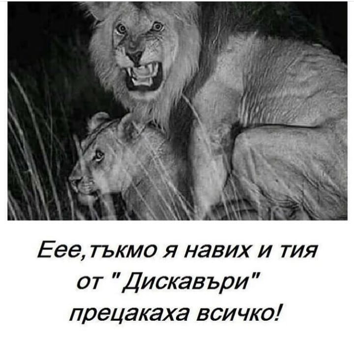 Тъкмо я навих, и тия от дискавъри прецакаха всичко