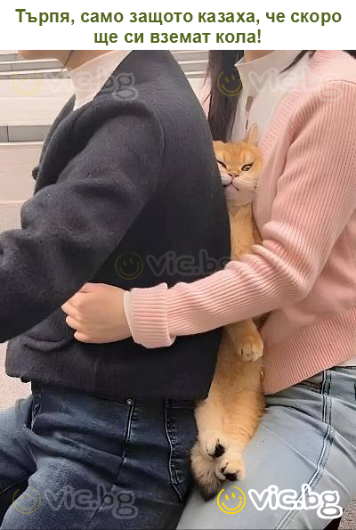 Търпя, само защото казаха, че скоро ще си вземат кола!