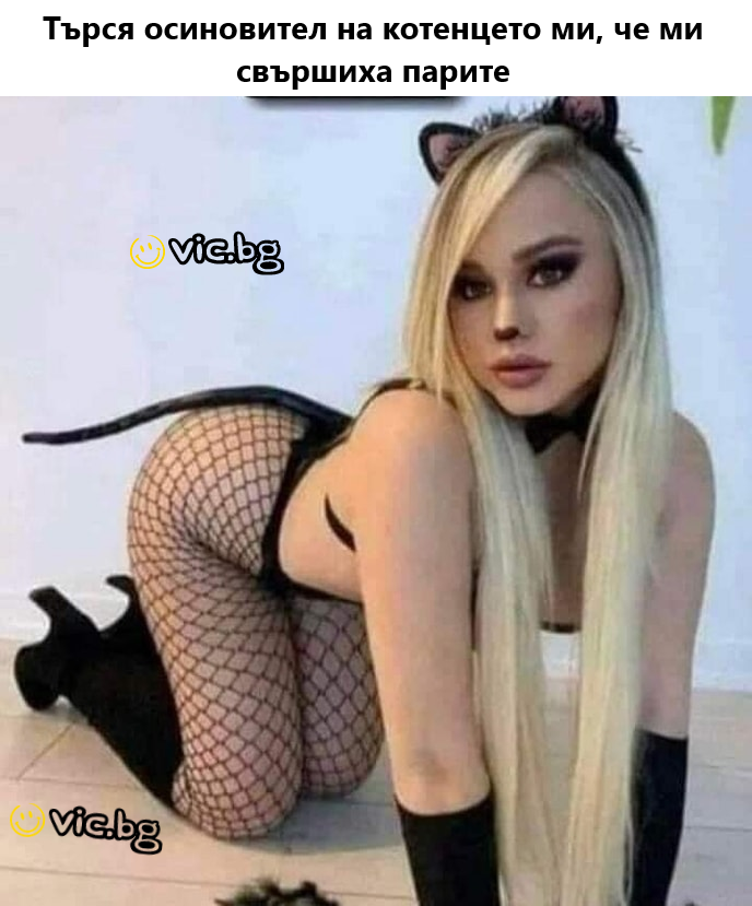 Тьрся осиновител на котенцето ми, че ми свършиха парите