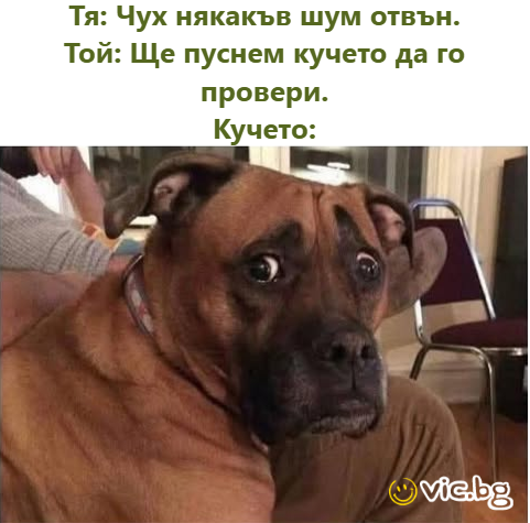 Тя: Чух някакъв шум отвън. Той: Ще пуснем кучето да го провери. Кучето: