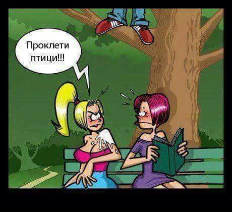 Ужсни птици