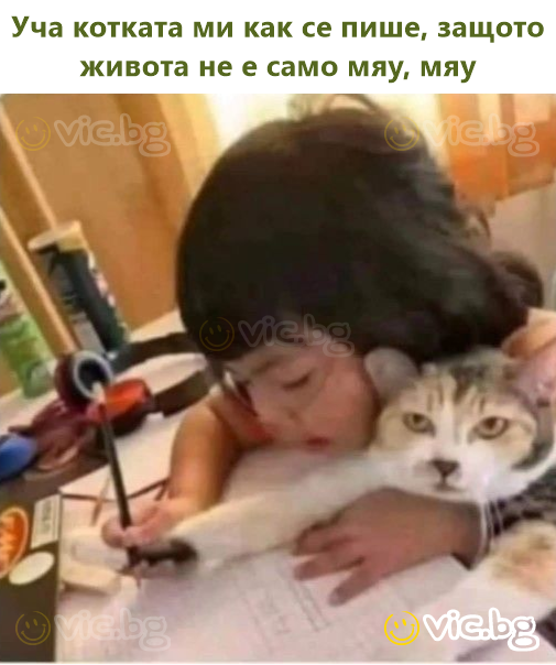 Уча котката ми как се пише, защото живота не е само мяу, мяу