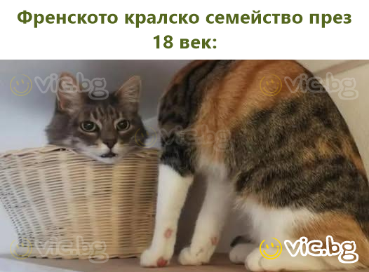 Френското кралско семейство през 18 век: